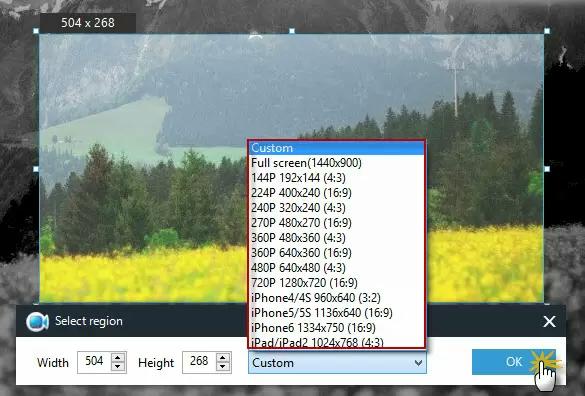 ビデオ録画手順 3 | PC 用 Apowersoft スクリーン レコーダー