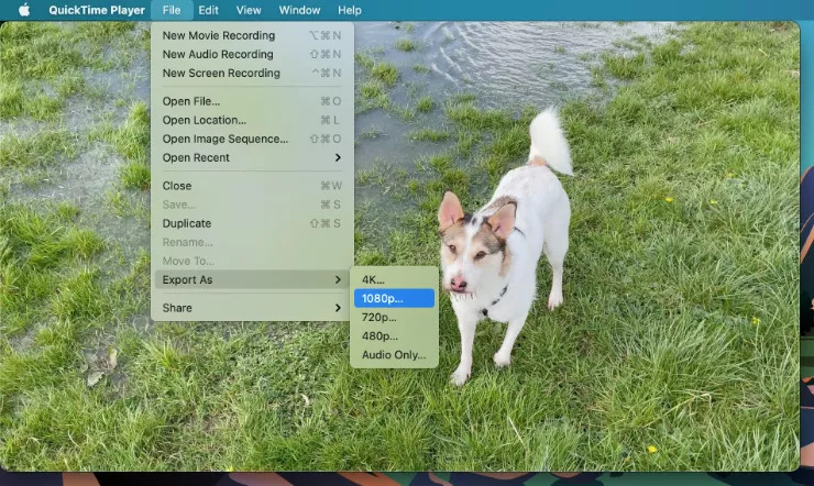 QuickTime でビデオを圧縮する手順 4 | QuickTime でビデオを圧縮する