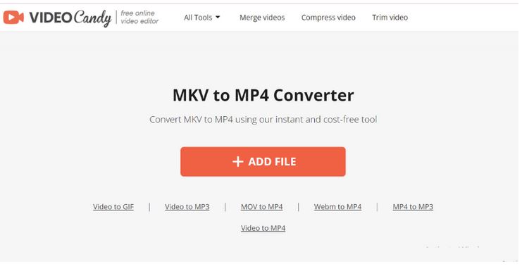 VideoCandy を使用 | mkv を mp4 に変換
