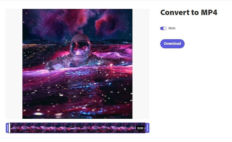 Adobe Express によるステップ 3 | ビデオを MP4 に変換する