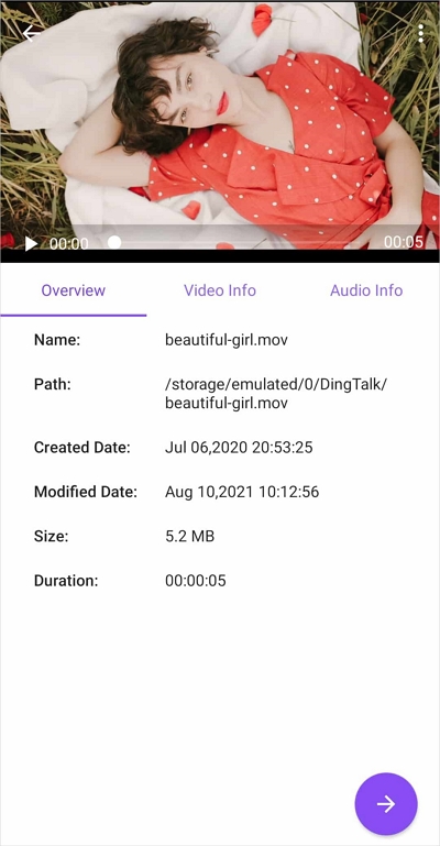 VidSoftLab ビデオコンバーター ステップ 2 | ビデオを mp4 に変換する