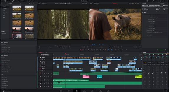 DaVinci Resolve | シンプルなビデオエディタ