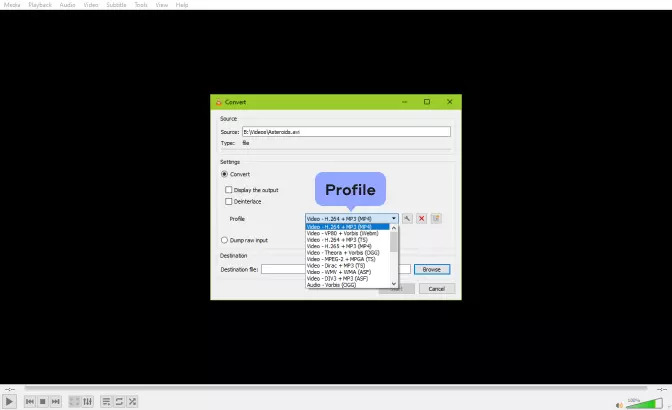 VLC メディア プレーヤー ステップ 4 | vlc を mp4 に変換する