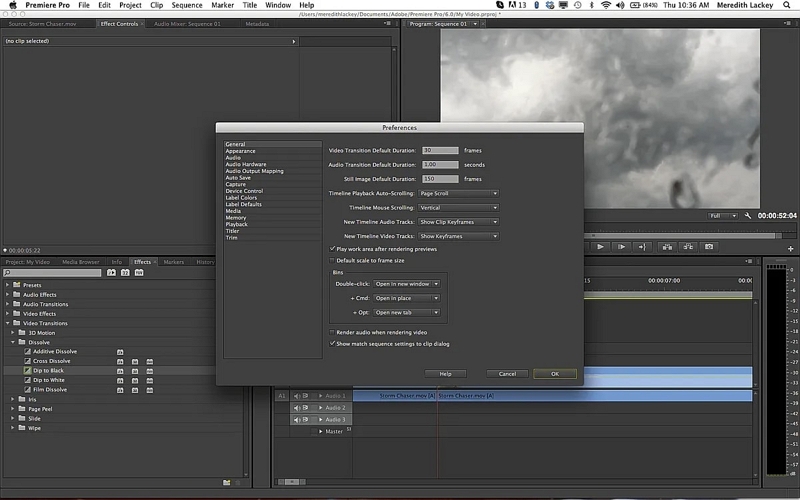 Adobe Premiere Pro でヒスノイズを除去する手順 4
