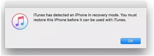 iTunes経由ステップ1 | iPhoneのデータ復旧の試み