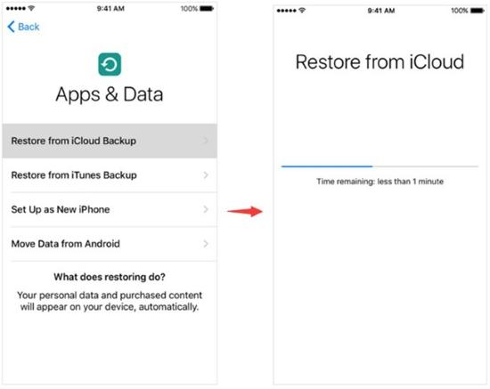 iCloud のステップ 3 | 水に濡れた iPhone からデータを回復する