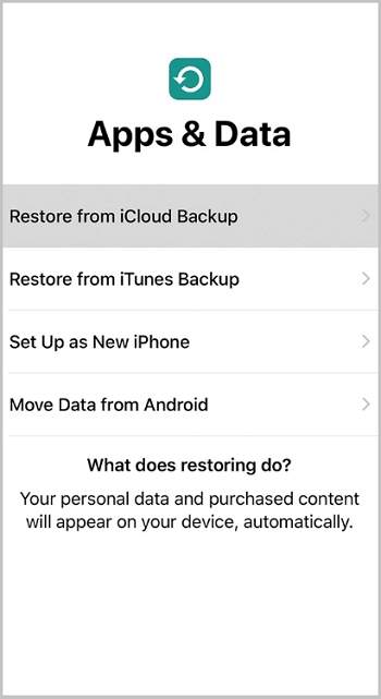 iCloud バックアップを使用 | iPhone から削除された写真を復元