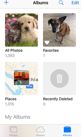 写真アプリの使用手順 2 | iPhone から削除された写真を復元する