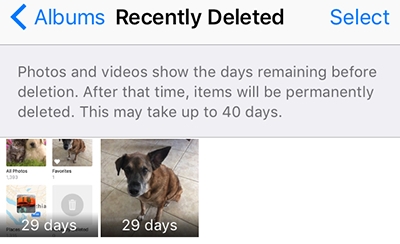 写真アプリの使用手順 4 | iPhone から削除された写真を復元する