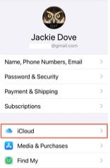 iCloudバックアップ経由 | SIMカードの連絡先の回復