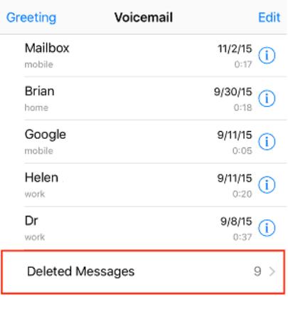 ボイスメールを直接復元する手順 3 | 削除されたボイスメールを iPhone から復元する