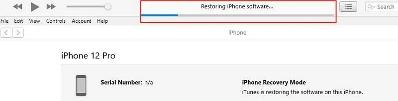 リカバリモードの使用手順 7 | iPhone でパスコードを回復する方法
