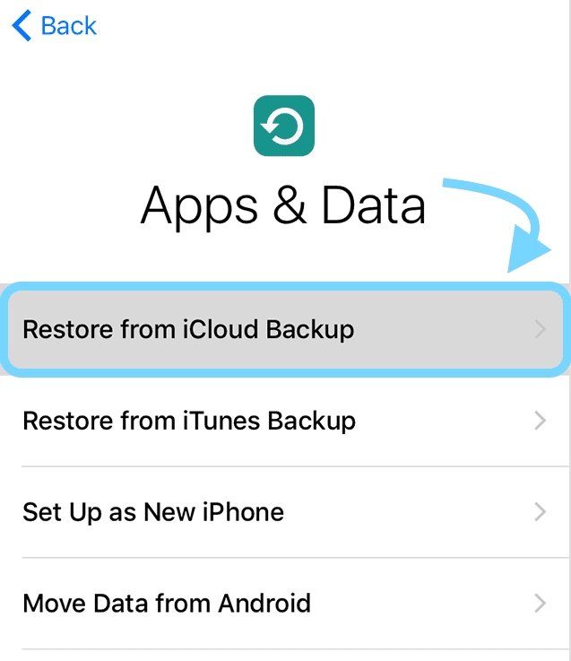 iCloud バックアップからテキスト メッセージを復元する | 削除されたテキスト メッセージを iPhone から取得する