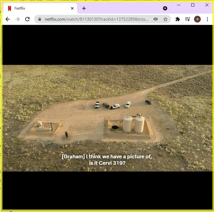 SanBox でブラウザを実行する手順 3 | スクリーンショット netflix windows 10