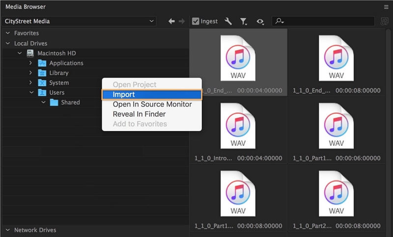 Adobe Premiere Proでヒスノイズを除去する手順1
