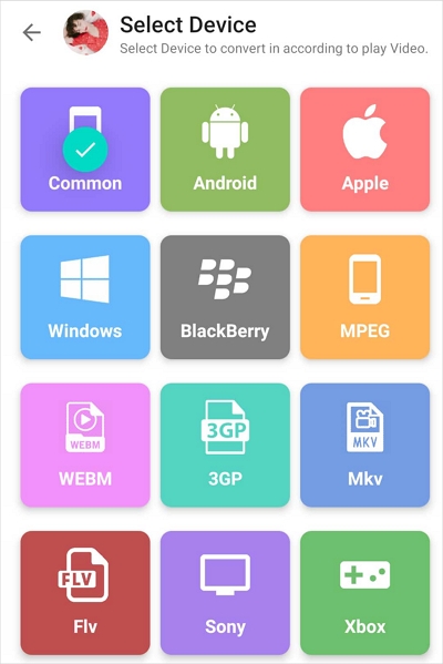 VidSoftLab ステップ 3 | mp4 を avi に変換する