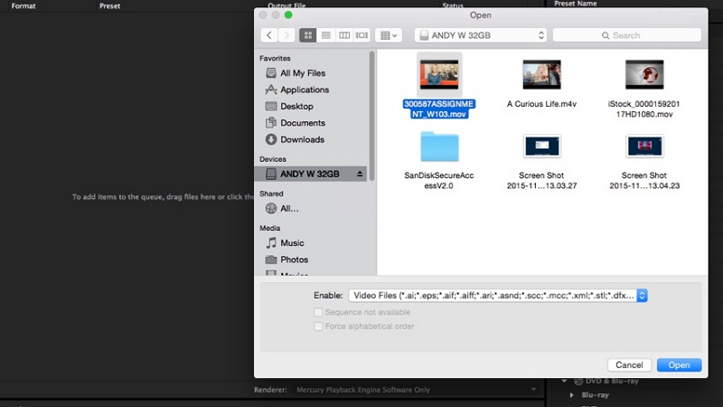 Adobe Media Encoder ステップ 2 | ウェブサイトの背景用にビデオを圧縮する