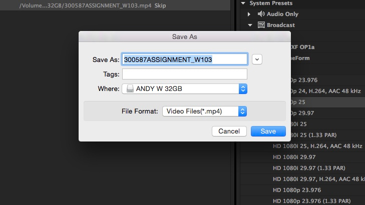 Adobe Media Encoder ステップ 4 | ウェブサイトの背景用にビデオを圧縮する