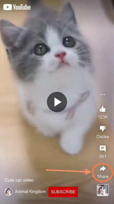 ShortsMate でステップ 1 | YouTube を MP4 に変換する
